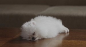 ギガ寝顔