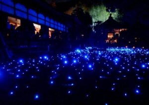 青蓮院門跡 夜間拝観