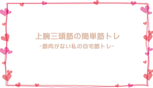 筋肉がない私が始めた上腕三頭筋の簡単な筋トレ-目指すは腕立て伏せ-
